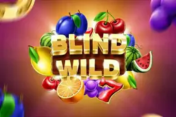 game of Blind Wild